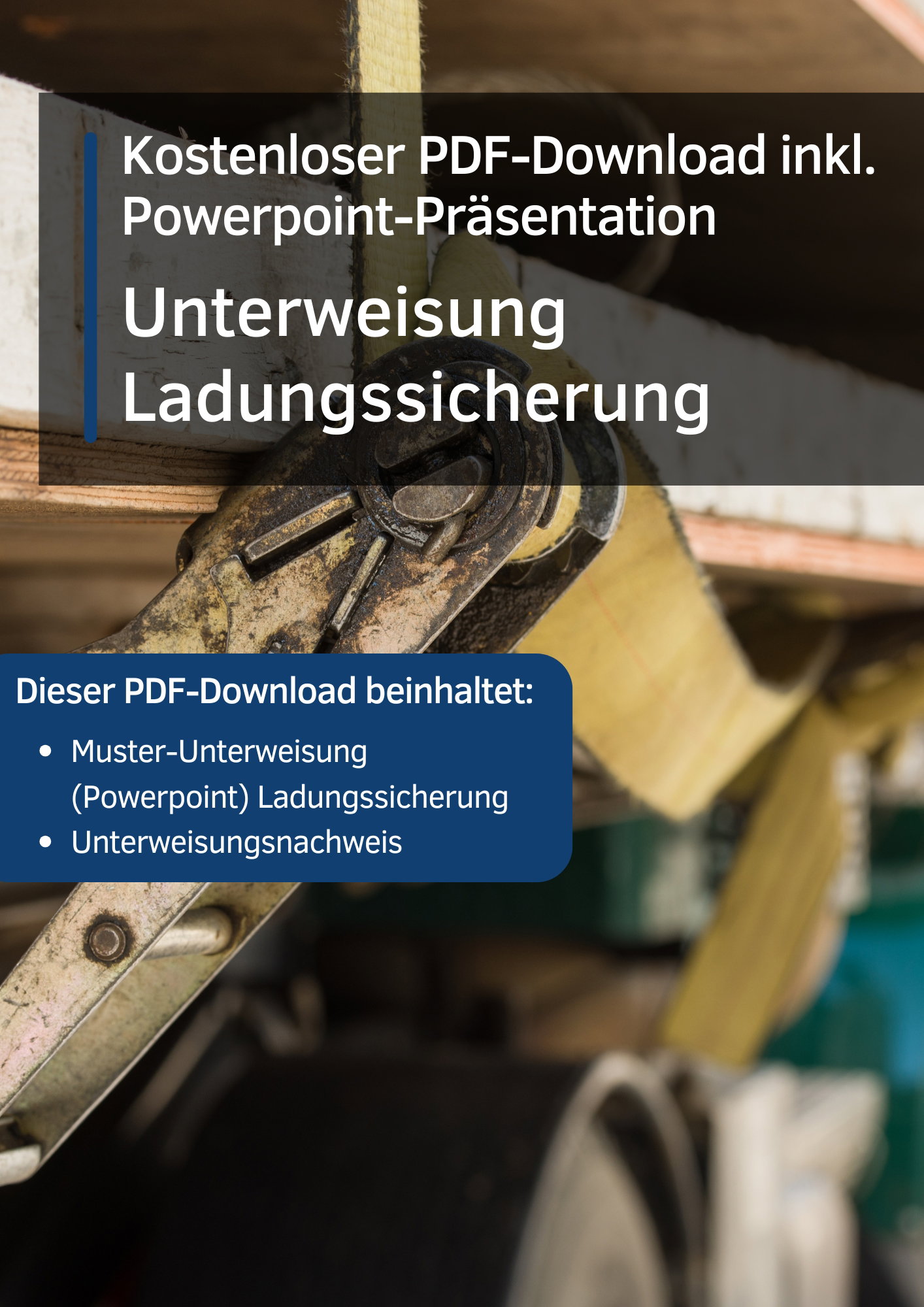 Ladungssicherung-PDF-Download.jpg